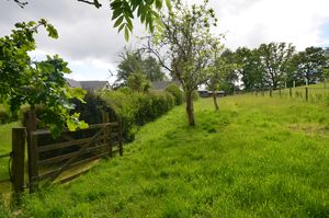 Lustleigh